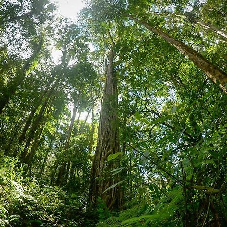 Talamanca Nature Reserve Rivas Ngoại thất bức ảnh