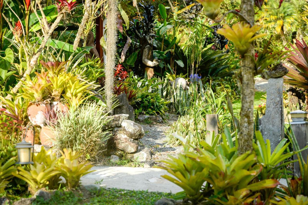 Talamanca Nature Reserve Rivas Ngoại thất bức ảnh