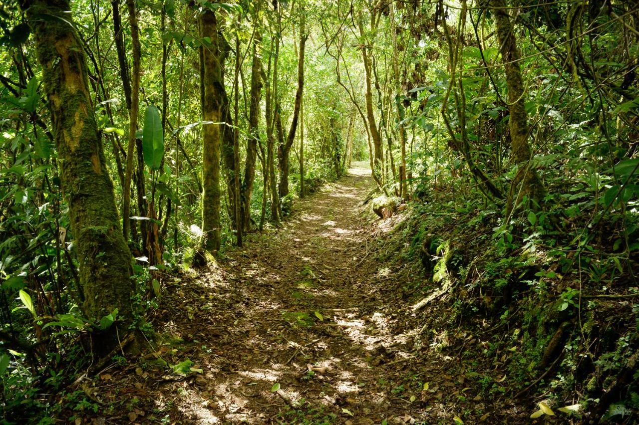 Talamanca Nature Reserve Rivas Ngoại thất bức ảnh