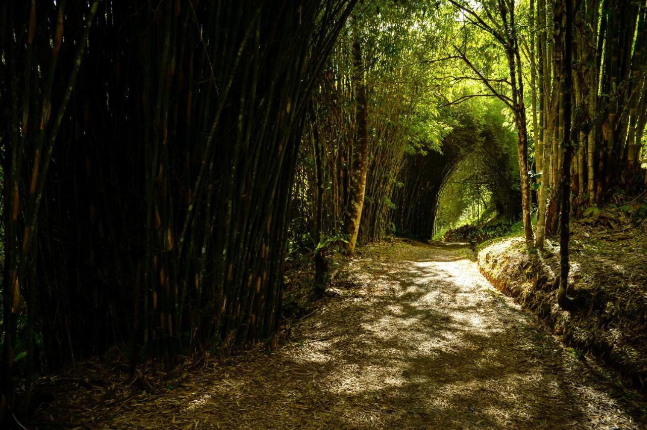 Talamanca Nature Reserve Rivas Ngoại thất bức ảnh
