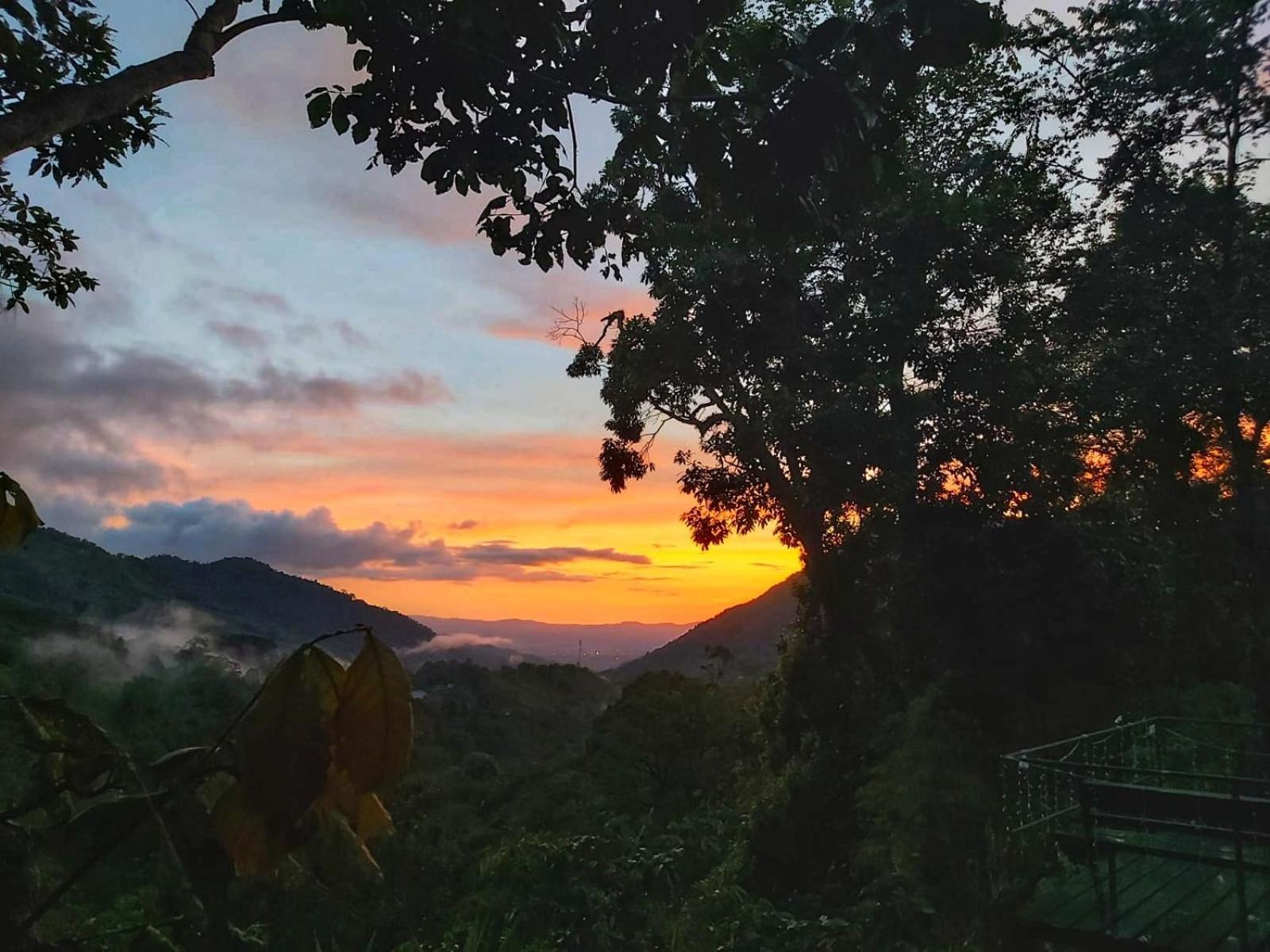 Talamanca Nature Reserve Rivas Ngoại thất bức ảnh