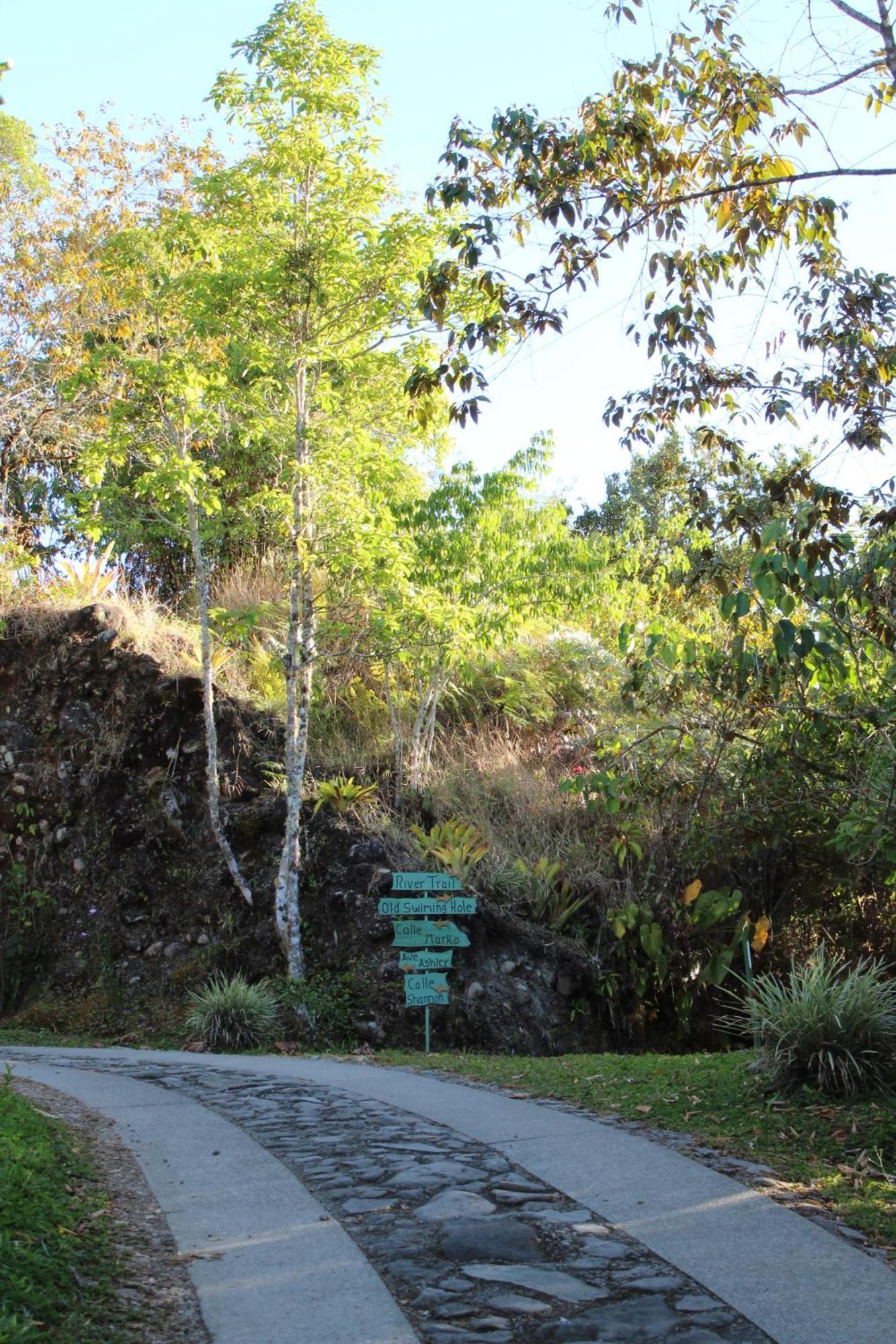 Talamanca Nature Reserve Rivas Ngoại thất bức ảnh