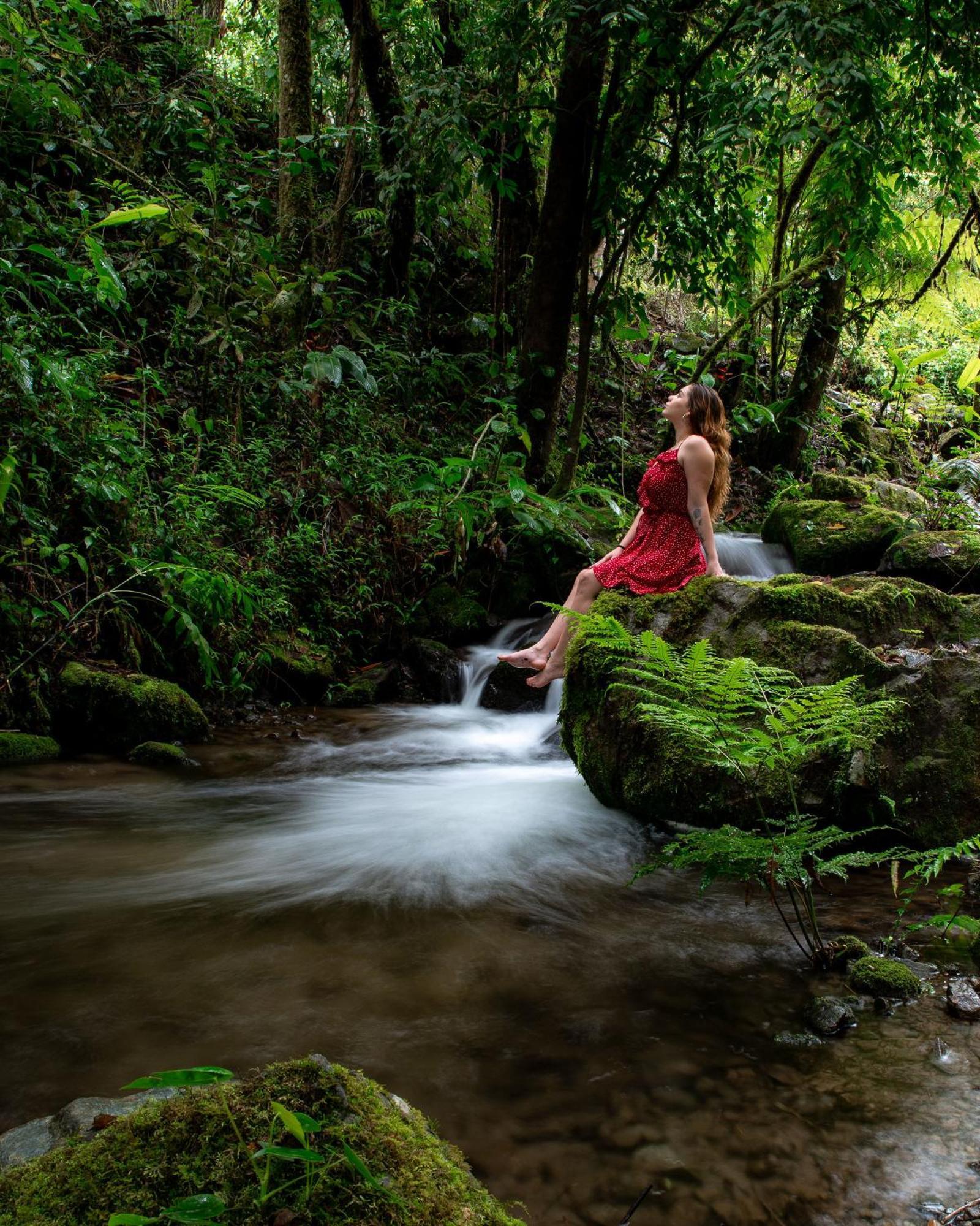 Talamanca Nature Reserve Rivas Ngoại thất bức ảnh