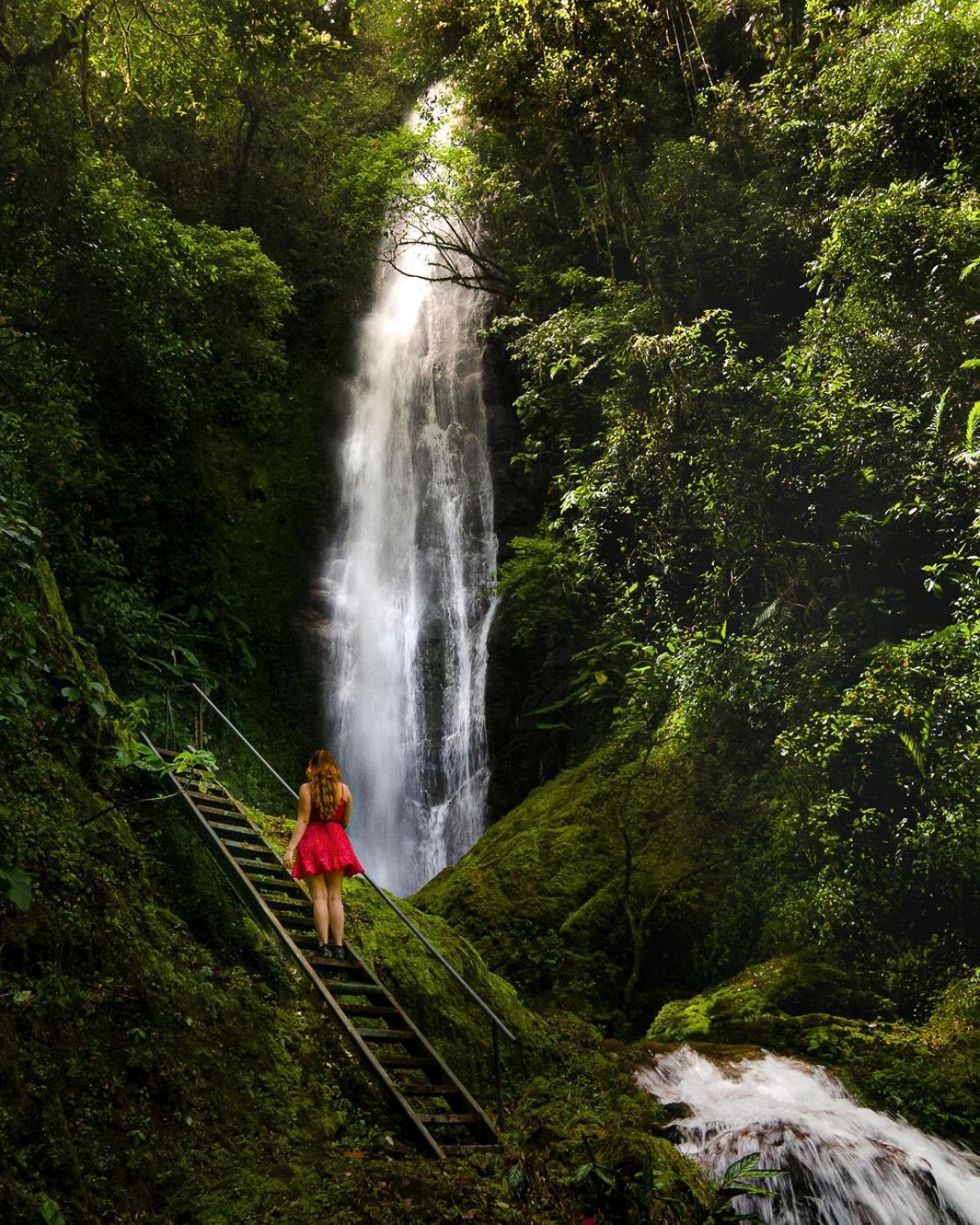 Talamanca Nature Reserve Rivas Ngoại thất bức ảnh