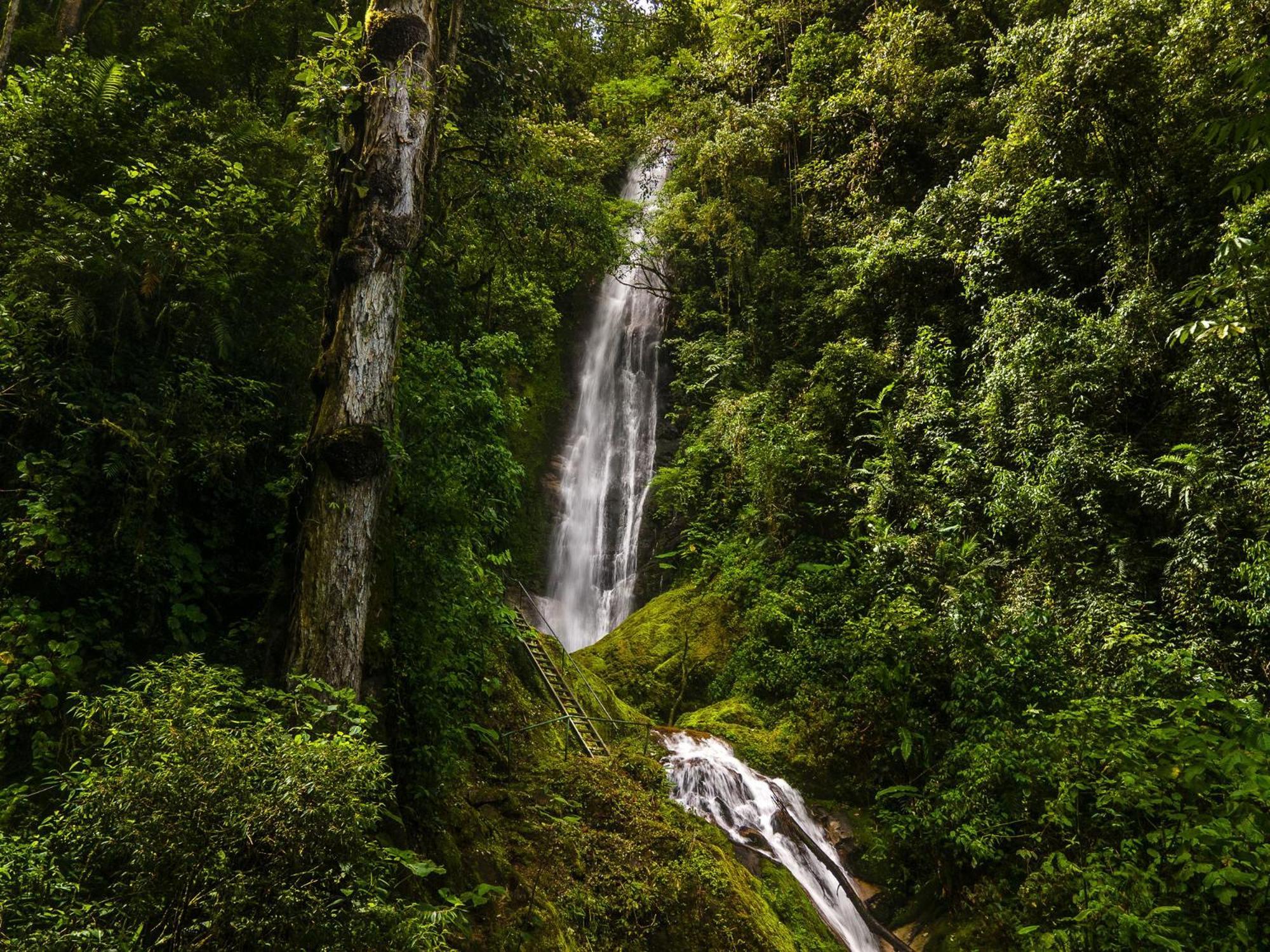 Talamanca Nature Reserve Rivas Ngoại thất bức ảnh