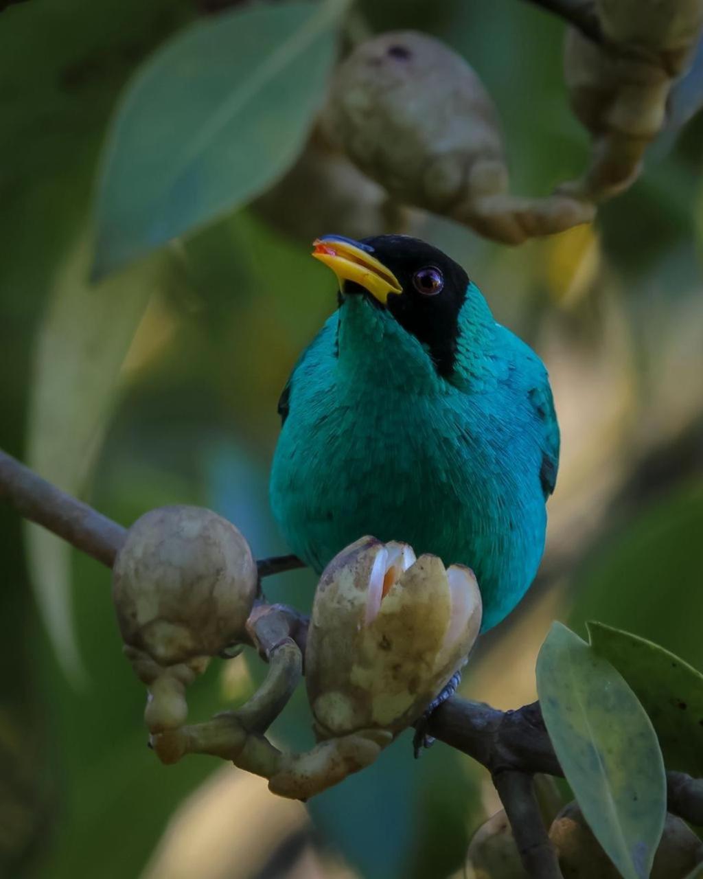 Talamanca Nature Reserve Rivas Ngoại thất bức ảnh