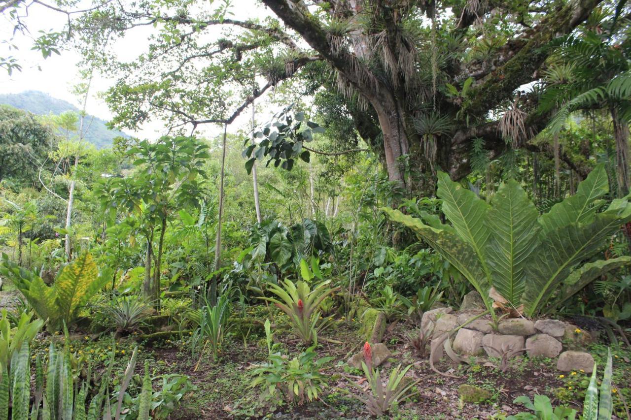 Talamanca Nature Reserve Rivas Ngoại thất bức ảnh