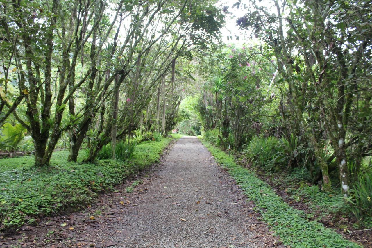 Talamanca Nature Reserve Rivas Ngoại thất bức ảnh